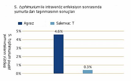 Nobilis salenvac T’nin S. typhimurium’un saçılması üstündeki etkisi