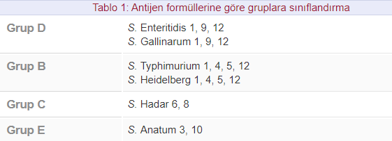 Tablo 1: Antijen formüllerine göre gruplara sınıflandırma