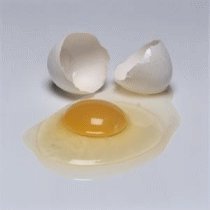 kırılmış yumurta